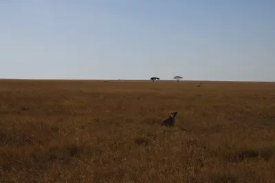 DSC_3917 (Large).JPG